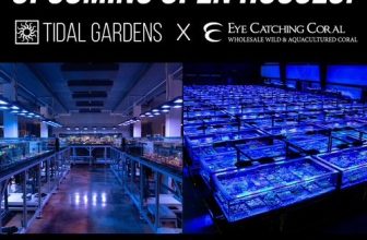 TG & ECC Open Houses | Reef Builders