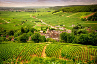 Burgundy’s Quiet Shift: From Extraction to Infusion