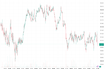 Solana Stalls Near $102 as Its 33% Monthly Rally Loses Momentum – Rehana William |Financial Consultant _Forex_Gold Xauusd| Fund Manager