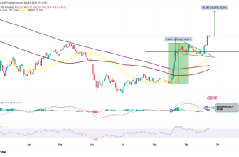 Bitcoin’s Recovery Shows Stronger Demand Signals – Rehana William |Financial Consultant _Forex_Gold Xauusd| Fund Manager