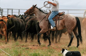 Colorado ranchers speak out in major Supreme Court climate case