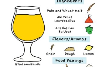 Everything You Need To Know About American Sour Ale