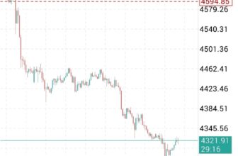 Precision Over Prediction – Rehana William |Financial Consultant _Forex_Gold Xauusd| Fund Manager