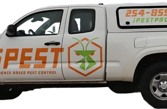 How to Choose a Pest Control Professional You Can Trust iPest Solutions | Waco, San Antonio, College Station