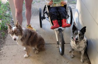 Dads and Dogs | Tinted Edges