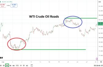 September 2026 – Rehana William |Financial Consultant _Forex_Gold Xauusd| Fund Manager