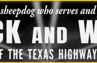 BOOK REVIEW | Black and White: Tales of the Highway Patrol – That’s What She’s Reading