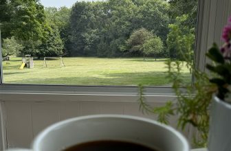 Cleaning Windows: EcoVacs Winbot W3 Omni Review