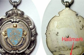 THE MYSTERY OF THE SILVER MEDALLIONS