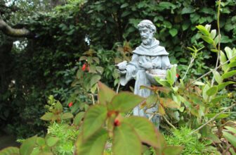 800 years on: Why St Francis of Assisi still captivates the world