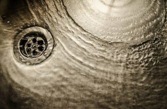 Drain Flies in Singapore – Greencare Pest Control & Cleaning