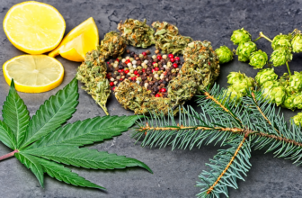 The Terpene Compass: Beyond Indica & Sativa