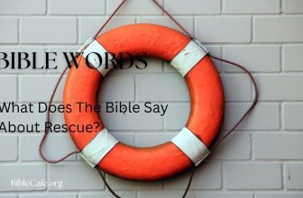 What Does The Bible Say About Rescue