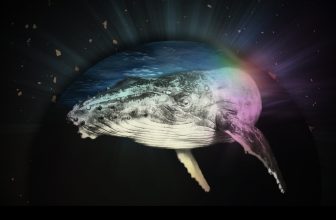Listening with Whales: Song, Grief, and Obligation Across Ways of Knowing