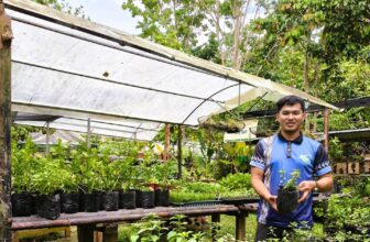 How One Young Farmer Turned Seed Money Into a Regional Model in Cotabato Province