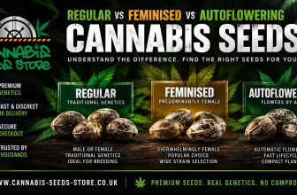 Regular vs Feminised vs Autoflowering Cannabis Seeds: What’s the Difference?