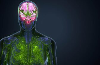How the Endocannabinoid System Controls Sleep, Mood & Pain – Buy CBD Oil India | Licensed Under Ministry of Ayush