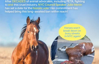 “For too long, horses have been forced to pull heavy carriages through NYC streets. Speaker @JulieMenin has set an Oct. 22 vote, and @NYCMayor has committed to signing the bill! Thanks, Speaker Menin, for doing the right thing and bringing this cruel industry closer to its end!” / X