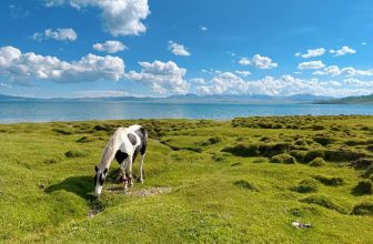 Horse Trekking at Song Kul Lake