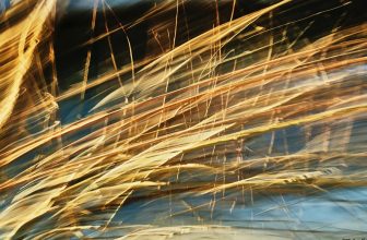 Hubert Endl: When the Camera Learns to Paint