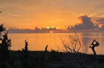 The October Country — This Week’s Links