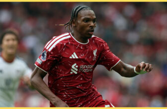 Have Liverpool already signed Virgil van Dijk 2.0?