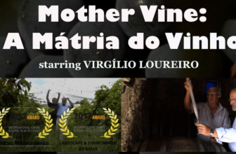 AZORES, from Lava to Wine / Mother Vine