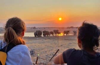 Where to Go on Safari in Africa: How to Choose the Perfect Destination