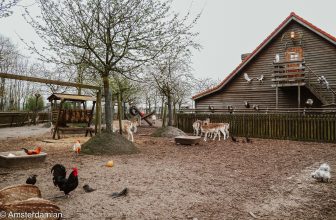 Non-Touristy Things to Do in Amsterdam: Storytelling Nights, Poetry, and Off-the-Beaten-Path Ideas | Amsterdamian