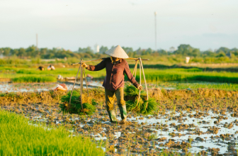 World Food Day: How has the challenge of protecting global food security changed since 1945?