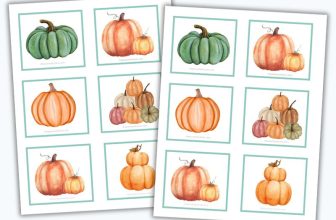 Pumpkin Matching Cards – The Purposeful Nest