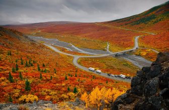 Alaska excursions you’ll only find on a cruisetour