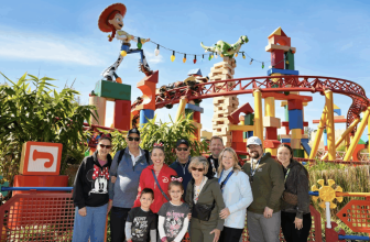Multi-Generational Deluxe Disney Vacation Booked With Points