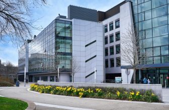 UCD AI institute launches at AI in Science Summit