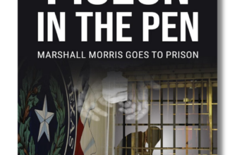 A Pigeon in the Pen by Robert John DeLuca