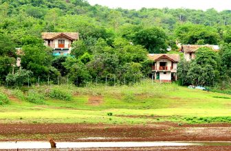 Best Jungle Camps in & around Hyderabad