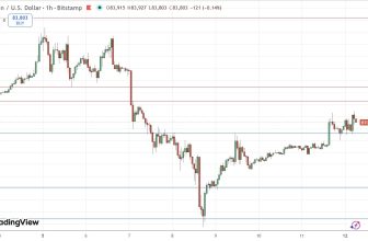 BTCUSD Rebounds as Bulls Target $85,000 – Rehana William |Financial Consultant _Forex_Gold Xauusd| Fund Manager