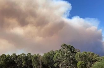 Possum Valley Animal Sanctuary Inc.: Coming Event – Bushfire Ready Busy Bee