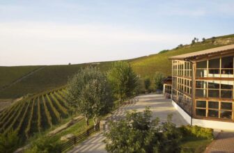 Nizza: Barbera’s Rise to DOCG Stardom