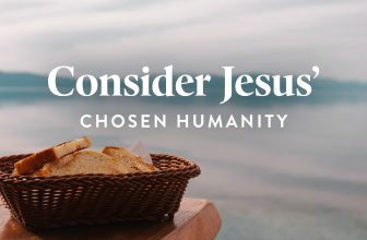 The Beautiful Paradox: God and Man | Revive Our Hearts Episode
