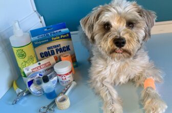 DOG FIRST AID KIT – San Francisco Dog Trainer The Pooch Coach