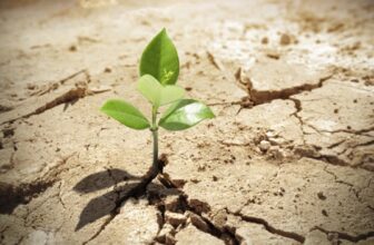 Bat Melech בת מלך: Hope against all hopelesness