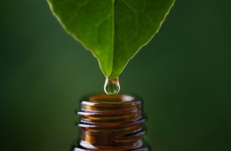 Essential Oils for Microbiome Balance: Clinical Applications