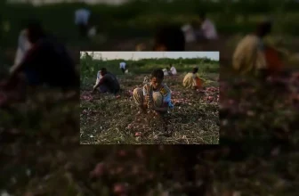 How Wars Threaten Global Food Security: Cropland Loss, Fertilizer Shortages and Rising Food Prices
