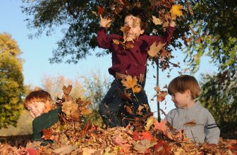Should You Rake Leaves? Pests, Ticks & ‘Leave the Leaves’