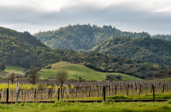 Napa/Sonoma Spring Trip Report 2026