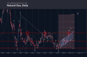 Natural Gas Wave Analysis – Rehana William |Financial Consultant _Forex_Gold Xauusd| Fund Manager