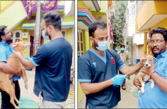 Free anti-rabies vaccination drive – Star of Mysore