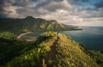 Shipping Containers to Hawaii and Same Day Courier Services