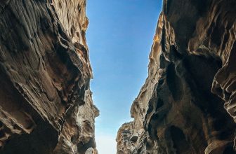 Why Are Today’s Risks Widening the Insurance Protection Gap? 
